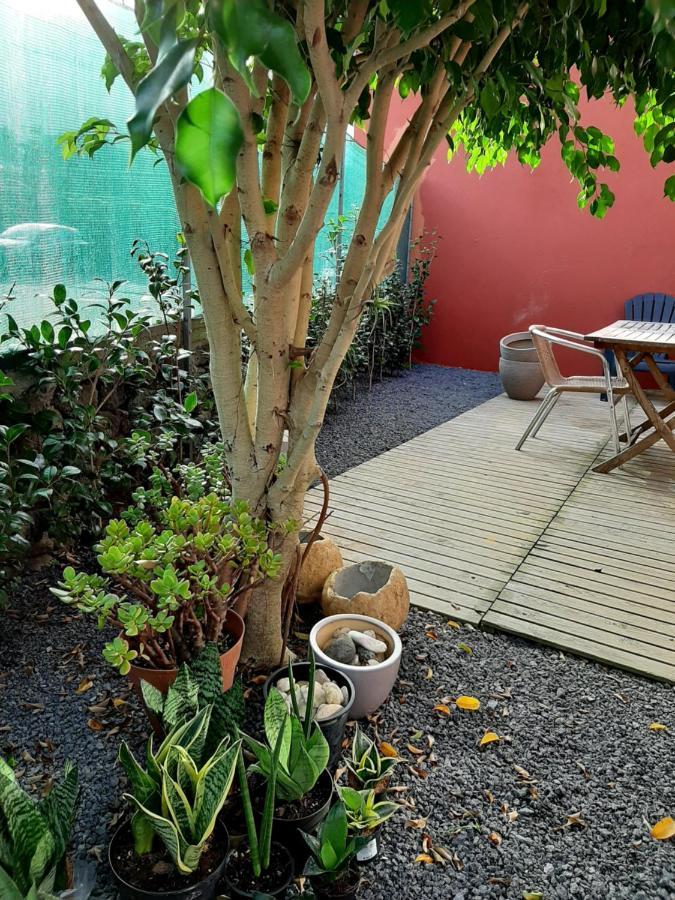 Casa Das Yucas - Patio Apartment Капелас Екстериор снимка