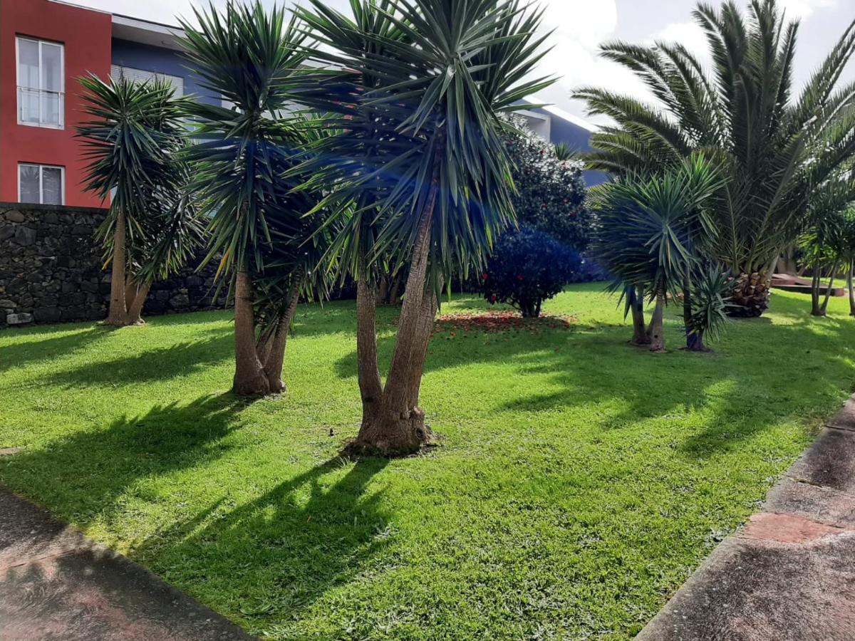 Casa Das Yucas - Patio Apartment Капелас Екстериор снимка